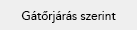 Gátőrjárás szerint