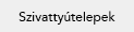 Szivattyútelepek