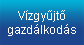 Vízgyüjtő gazdálkodás