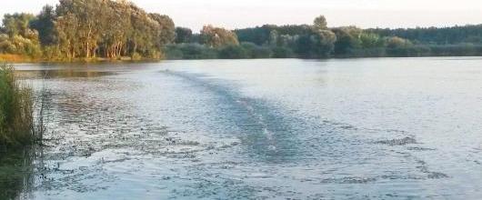Vízminőségi káresemény-Tiszabábolnai Holt Tisza zöldes szennyeződése