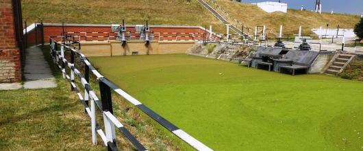 Vízminőségi káresemény - Békésszentandrási-holtágon