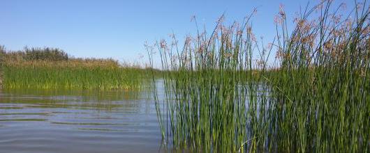 Megjelent az Integrált vízháztartási tájékoztató októberi száma